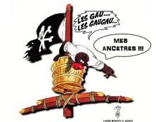 Nos ancêtres les Gaulois