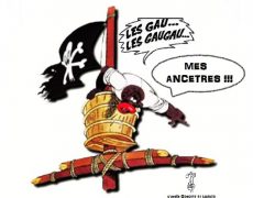 Nos ancêtres les Gaulois