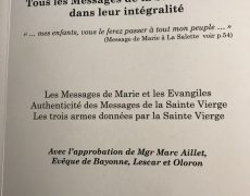 2020 sous le regard de la Sainte Vierge