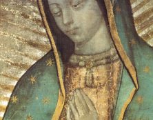Saint Juan Diego messager de la Vierge Marie