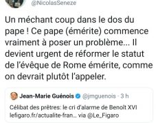 Les loups sont de sortie