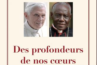 Le communiqué du cardinal Sarah suite aux intox contre Benoît XVI