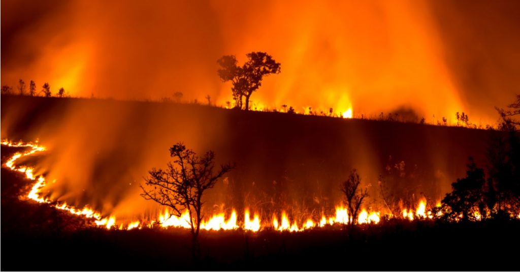Et si les incendies en Australie étaient une conséquence de la dictature écologique et non du réchauffement climatique ?