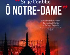 Si je t’oublie, ô Notre-Dame : un hors-série de L’Homme Nouveau