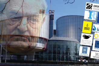 Le Conseil de l’Europe admet la véracité du rapport sur les ONG et les juges de la CEDH