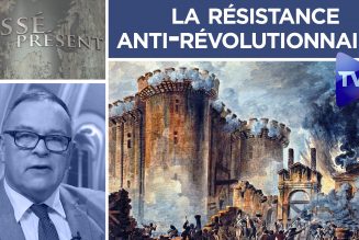 La résistance anti-révolutionnaire