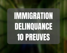 Lien entre immigration et délinquance : les 10 preuves scientifiques et sourcées