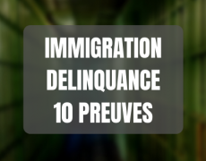 Lien entre immigration et délinquance : les 10 preuves scientifiques et sourcées