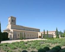 Succès des retraites scoutes