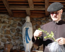 Comment avoir du buis dimanche des Rameaux ?