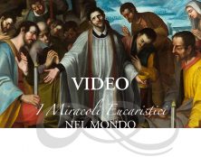 Miracles eucharistiques : qui peut sous-titrer des vidéos ?