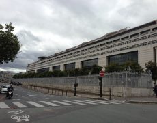 Dans la série, on nous prend pour des pélicans…