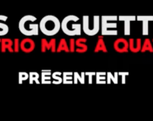 T’as voulu voir le salon