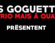 T’as voulu voir le salon