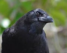 Et maintenant la délation…