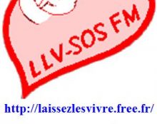 Plus jamais la guerre aux enfants à naître