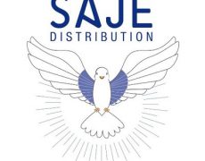 E-Cinéma avec SAJE : programmation