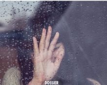 Combat pro-vie : l’exemple américain