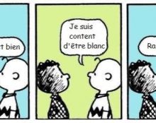 Un racisme artificiel
