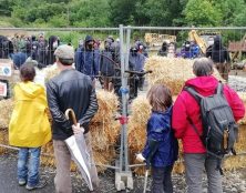 Occupation illégale du chantier du site Notre Dame des Neiges à Saint Pierre de Colombier