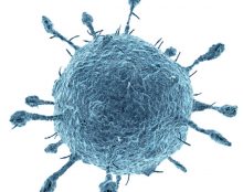 Désinformation du Lancet : que vont faire TF1 et France2 ?