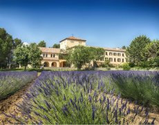 Aide à l’abbaye de Jouques : objectif 2500 tapenades et 3500 vins