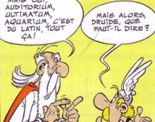 Finalement, nos ancêtres les Gaulois n’étaient pas si idiots