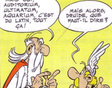 Finalement, nos ancêtres les Gaulois n’étaient pas si idiots