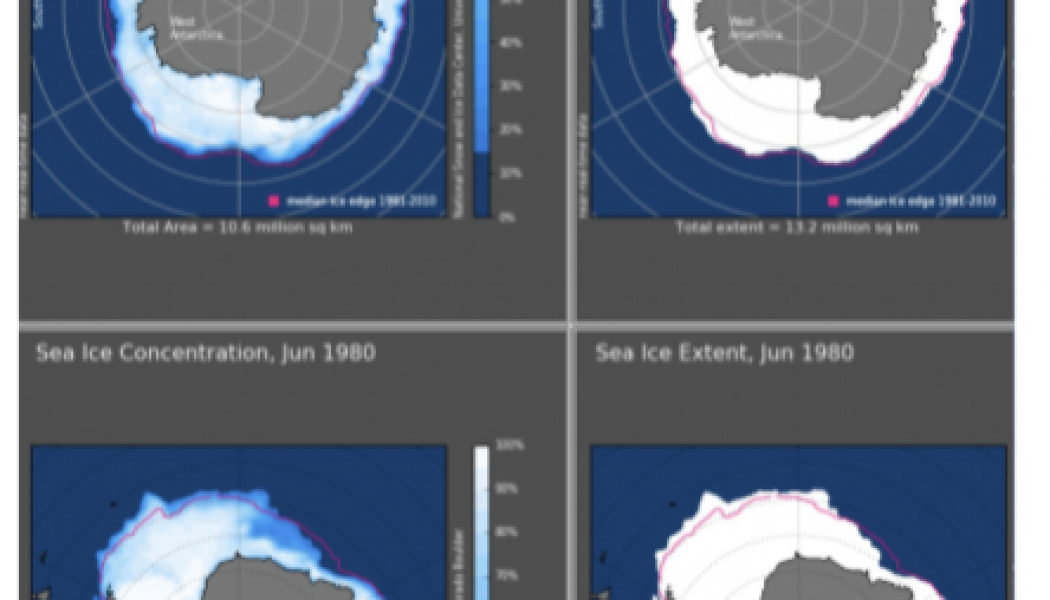 Il y a plus de glace au Pôle sud qu’il y a 40 ans