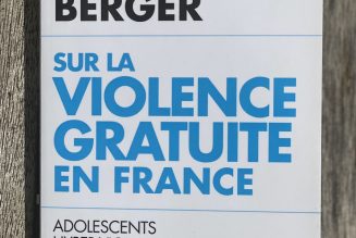Extraits de “Sur la violence gratuite en France” du pédopsychiatre Maurice Berger