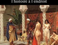 Polémique Obono-Valeurs Actuelles : parce que ce ne sont pas des négriers noirs qui ont vendu leurs « frères » noirs ?