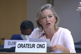 A l’ONU, Ludovine de La Rochère dénonce la GPA : “on n’encadre pas l’esclavage”