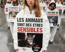 Euthanasie : télescopage d’actualités