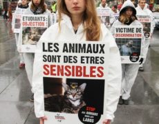 Pendant que les bébés sont exterminés dans les centres d’avortement…