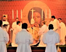 Deuxième vague d’ordinations dans le diocèse de Fréjus-Toulon