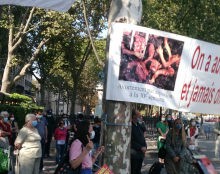 Nul ne peut être condamné à la peine de mort, sauf les bébés