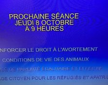 Les animaux, oui, les petits d’homme, non