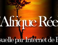 Bernard Lugan : “A l’unanimité, les députés français bradent le patrimoine inaliénable de nos musées”