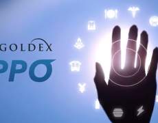 Quand le Japon promeut l’implant de la puce RFID