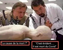 Tout le monde meurt du COVID