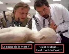 Tout le monde meurt du COVID