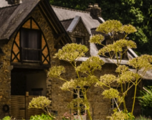 Monastère de Bois-Salair : une jeune communauté de moniales orthodoxes en Mayenne