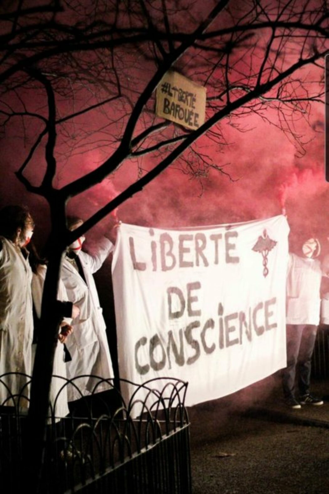 Manifestation provie à Lyon, pour dénoncer la suppression de la clause de conscience des médecins