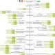 La gouvernance par numéro vert