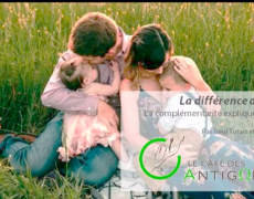 La différence des sexes (partie 1): une vidéo des Antigones