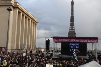 Double mobilisation pour la vie : dans la rue à Paris, et sur les réseaux