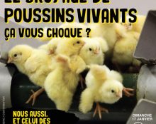 “Oserez-vous prétendre sérieusement que le broyage vivant des foetus n’est pas de la maltraitance ?”