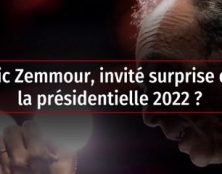 Zemmour 2022 : Phantasme ou électro-choc pour LR et RN ?