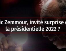 Zemmour 2022 : Phantasme ou électro-choc pour LR et RN ?