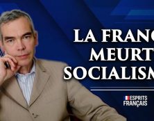 Guillaume de Thieulloy : Le régime socialiste en France aujourd’hui est un régime de parasites